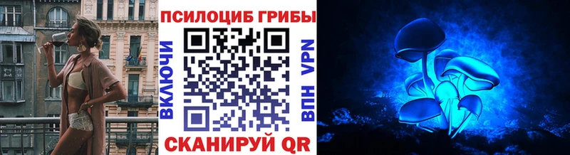 Галлюциногенные грибы мицелий  мега ссылки  Пучеж  где продают  